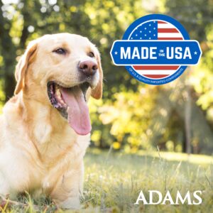 Adams Plus Flea & Tick Carpet Spray, Kills Fleas, Flea Eggs, Flea Larvae, Ticks, Ants, Roaches, Spiders, Waterbugs & Many Other Listed Nuisance Pests In The Carpet, Treats Up to 2,000 Sq Ft, 16 Ounces