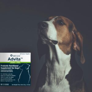 VetOne Advita Probiotic Nutritional Supplement for Dogs - 30, 1 g Packets