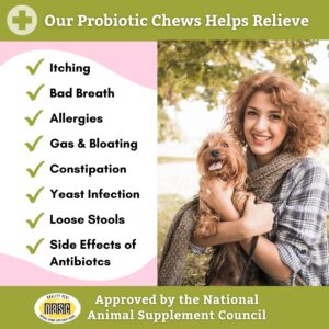 Wholistic Pet Organics: Probiotic Chews for Dogs Digestive Health - 60 Count - Dog Probiotics and Digestive Enzymes - Support Gut Health Immune Supplement Prevents Dog Digestive Problems