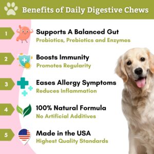 Wholistic Pet Organics: Probiotic Chews for Dogs Digestive Health - 60 Count - Dog Probiotics and Digestive Enzymes - Support Gut Health Immune Supplement Prevents Dog Digestive Problems