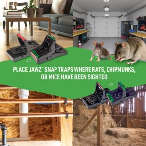 JT Eaton 410BULK Jawz Plastic Rat Trap, High Tension Spring, Reusable Rodent Snap Trap for Solid or Liquid Bait, 12 Pack