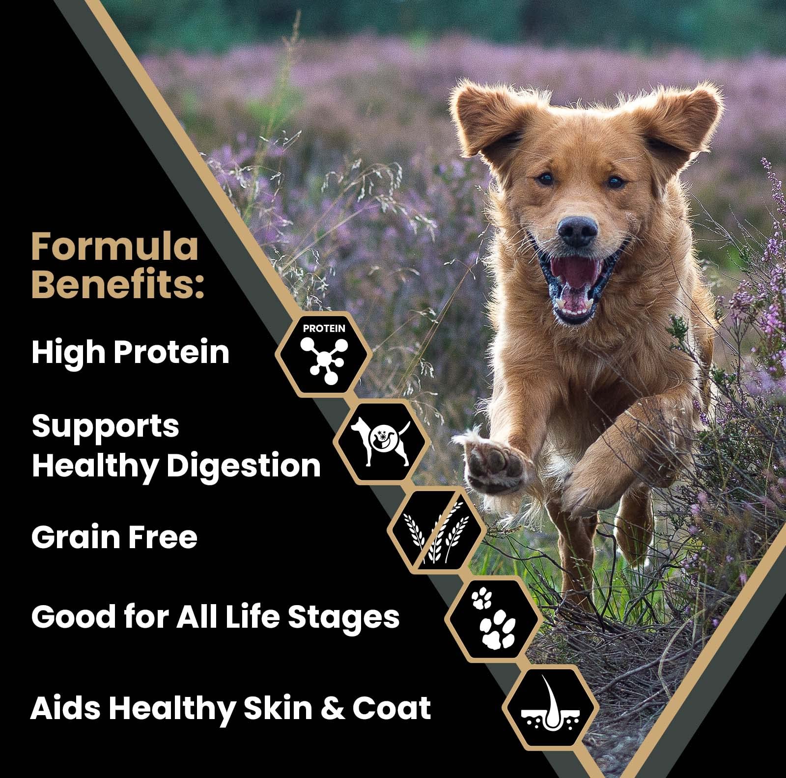 Victor Super Premium Dog Food – Grain Free Ultra Pro Dry Dog Food – High Protein, Low Carb Dog Food for Active Dogs – 42% Protein Dog Food for Sporting Dogs of All Breeds & Sizes, 30 lb