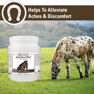 Vet Classics ArthriEase-Gold Joint Support for Horses - Powder Health Supplement for Horses – Alleviates Aches and Discomfort – For Flexibility, Healthy Joint Function – Antioxidants 2 lb. 4 Oz.Powder