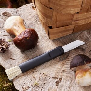 SVEICO Mushroom Knife, Black