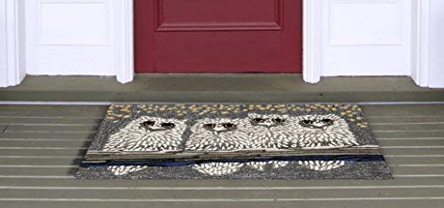 Liora Manne Frontporch Indoor Outdoor Rug - Novelty Design, Hand Hooked, Weather Resistant, UV Stabilized, Foyers, Porches, Patios & Decks, Owls, 2'6 x 4'