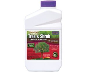 annual tree & shrub drench concentrate multiple insects qt