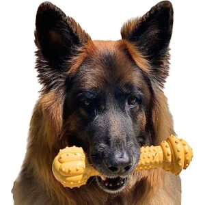 nylabone barbell power chew durable dog toy peanut butter xx-large/monster (1 count)