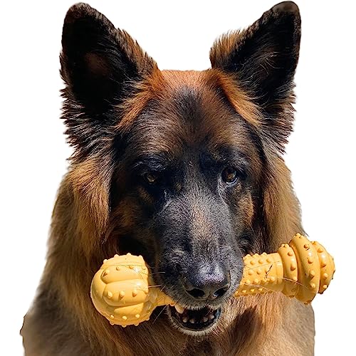 Nylabone Barbell Power Chew Durable Dog Toy Peanut Butter XX-Large/Monster (1 Count)