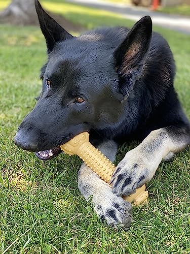 Nylabone Barbell Power Chew Durable Dog Toy Peanut Butter XX-Large/Monster (1 Count)