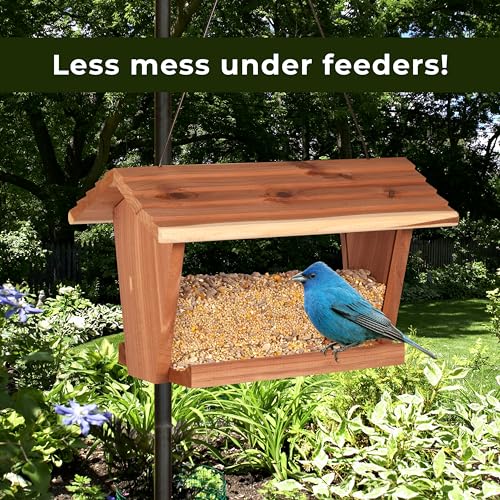 Kaytee Wild Bird (No Mess or Waste Free) Food Seed Blend for Blue Jays, Woodpeckers, Juncos, Cardinals, Grosbeaks, Sparrows, and Finches, 10 Pound, (Packaging May Vary)