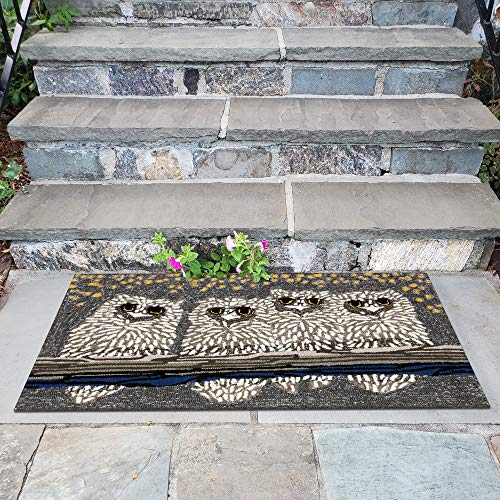 Liora Manne Frontporch Indoor Outdoor Rug - Novelty Design, Hand Hooked, Weather Resistant, UV Stabilized, Foyers, Porches, Patios & Decks, Owls, 2'6 x 4'