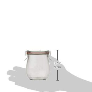 Mini Tulip Jelly Jar with Glass Lids 6 Rings and 12 Clamps, 6 Count (Pack of 1)