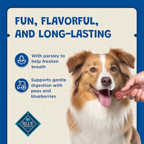 Blue Buffalo Dental Bones Large Natural Dental Chew Dog Treats Bag