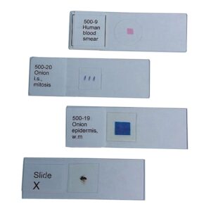 united scientific supplies 500-20 "onion root tip mitosis" prepared microscope slide