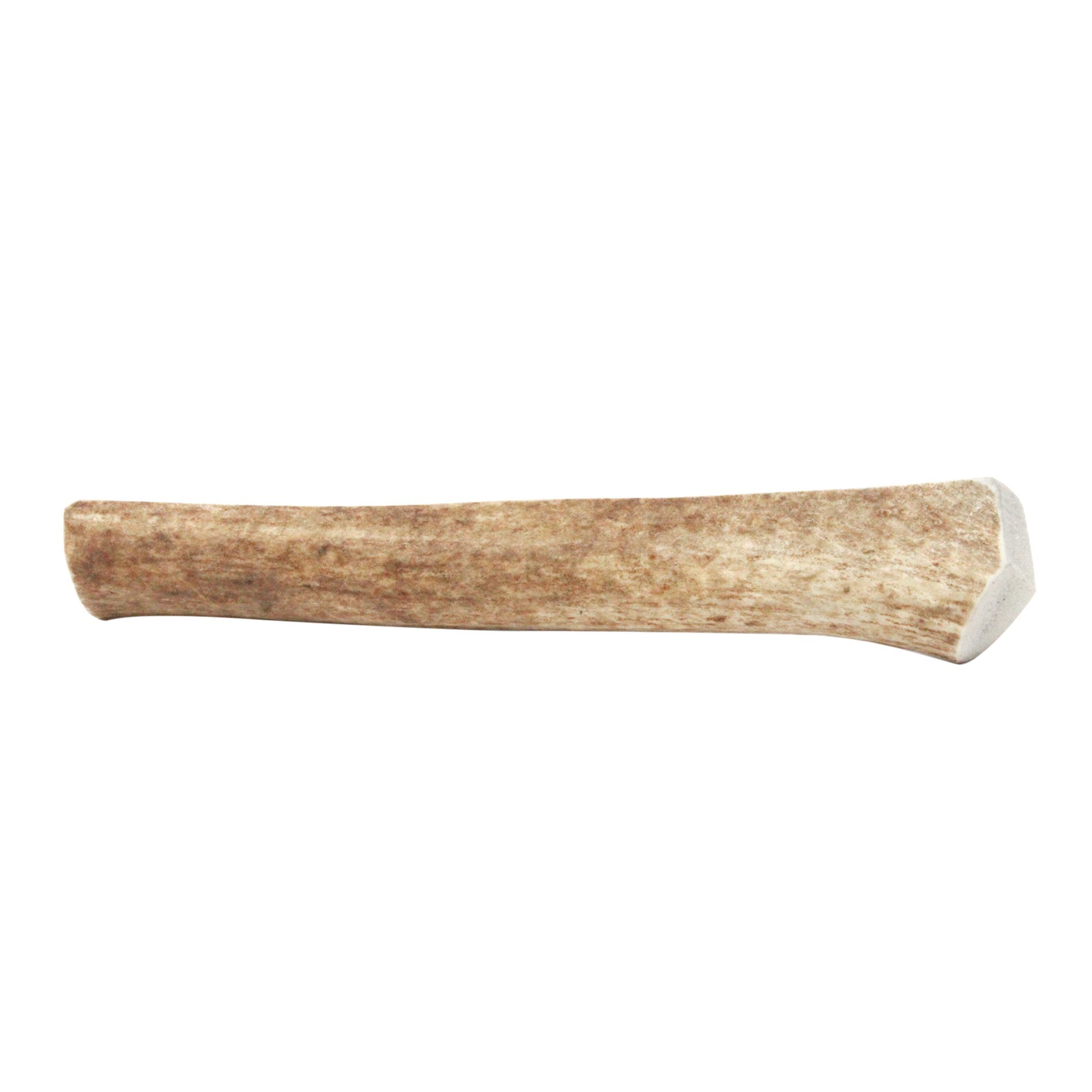 Downtown Pet Supply - Elk Antlers for Dogs - Premium Dog Bones Rich in Calcium, Phosphorus, Vitamins & Minerals - Dog Dental Treats & Natural Dog Chews - Whole - 7-9in - Large