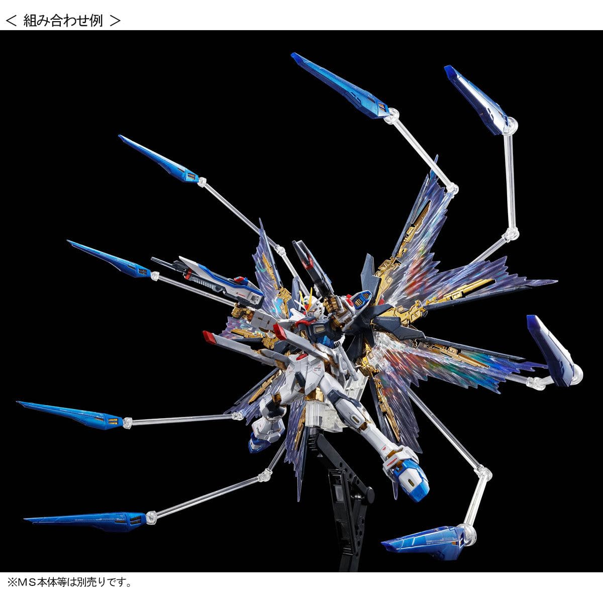 Mobile Suit Gundam SEED Destiny - RG Strike Freedom Gundam Expansion Effect Unit: Heavenly Wings by Bandai