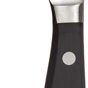 Wüsthof CLASSIC Cheese Knife, One Size, Black, Stainless Steel