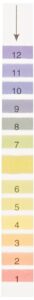 whatman 2612-990 ph indicator test strip, type cs, 1 to 12 ph range, 11mm width x 100mm length (pack of 200)