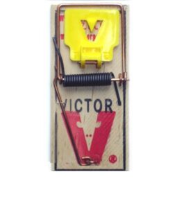 victor mouse trap m325 (m-7) professional case of 72 traps