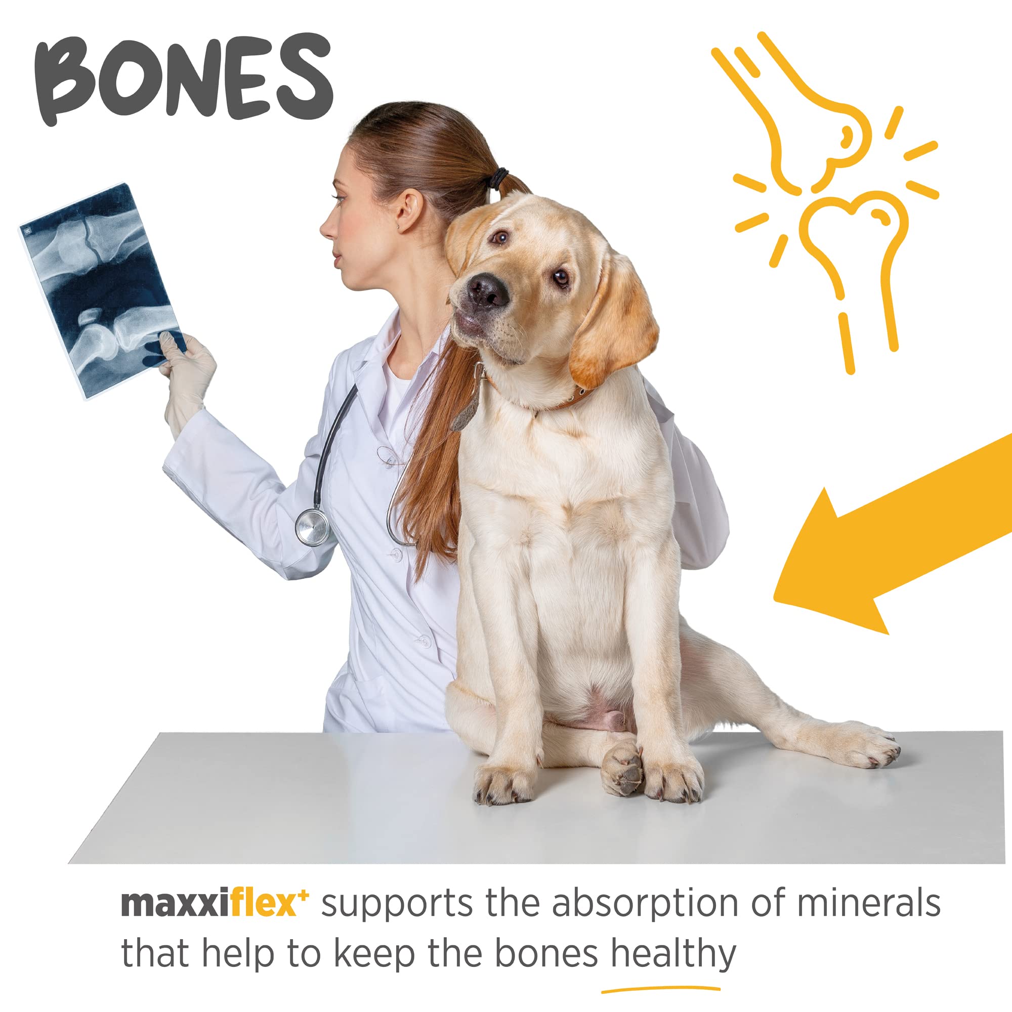 maxxipaws maxxiflex+ Hip & Joint Supplement for Adult Dogs - 120 Tablets