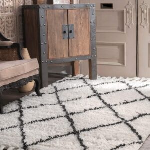 nuLOOM Hand Knotted Fez Shag Area Rug, 4x6, Natural