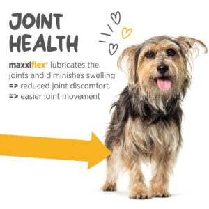 maxxipaws maxxiflex+ Hip & Joint Supplement for Adult Dogs - 120 Tablets