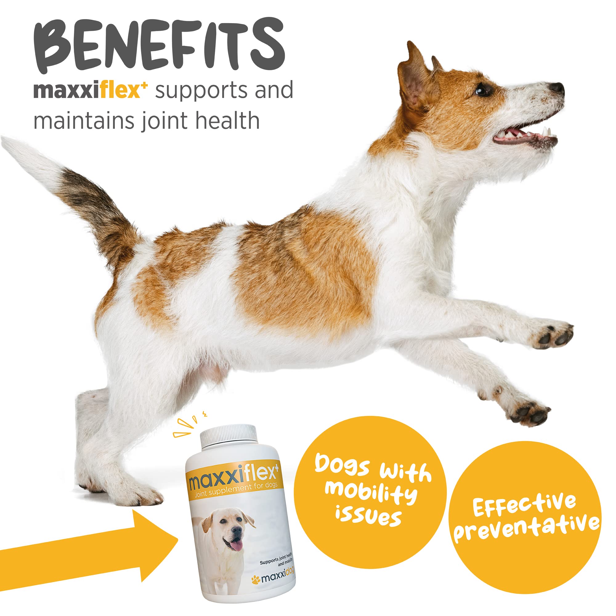 maxxipaws maxxiflex+ Hip & Joint Supplement for Adult Dogs - 120 Tablets