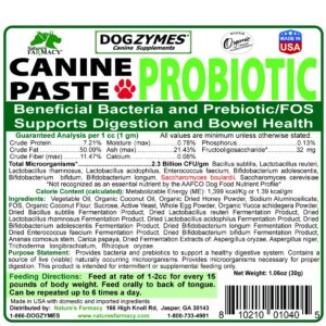 Dogzymes Canine Probiotic Paste Beneficial Bacteria-Enzyme 2.3 Billion CFU/gm Saccharomyces boulardii Organic Dried Honey Powder (30 Gram)