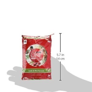 Purina ONE Dog Smartblend, Lamb & Rice Formula, Adult 16.5 lb (Packaging may vary)