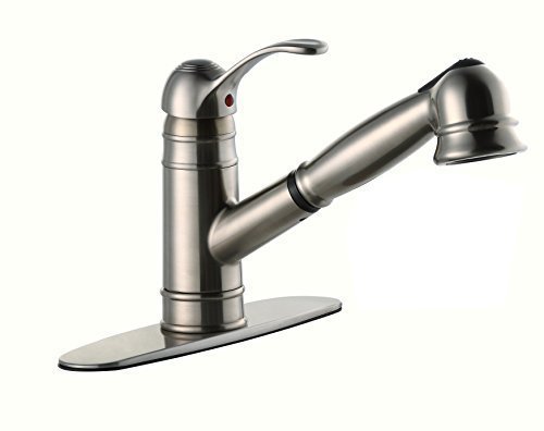 Derengge 1 or 3 Hole Pull-Out Kitchen Faucet Stainless Steel Single Handle Kitchen Sink Faucet with Deck Plate,EW-083C-BN