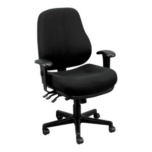 Eurotech 24/7 Task Chair - 19-22-1/2" Seat Height - Black - Black