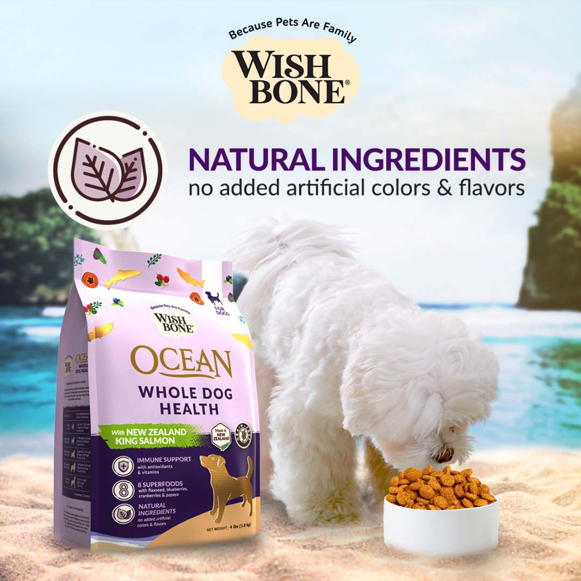 Wishbone Ocean New Zealand King Salmon Dry Dog Food, Gluten-Free, Grain-Free Recipe for Overall Pet Health - 4 lb