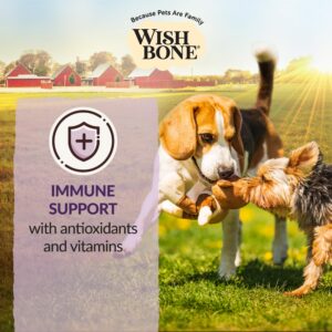 Wishbone Ocean New Zealand King Salmon Dry Dog Food, Gluten-Free, Grain-Free Recipe for Overall Pet Health - 4 lb