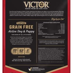 Victor Super Premium Dog Food – Grain Free Active Dog & Puppy – Dry Dog Food with 33% Protein, Gluten Free - for High Energy Dogs, 5lbs