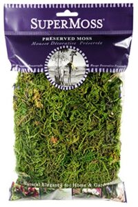 supermoss (25320) forest moss preserved, fresh green, 2oz