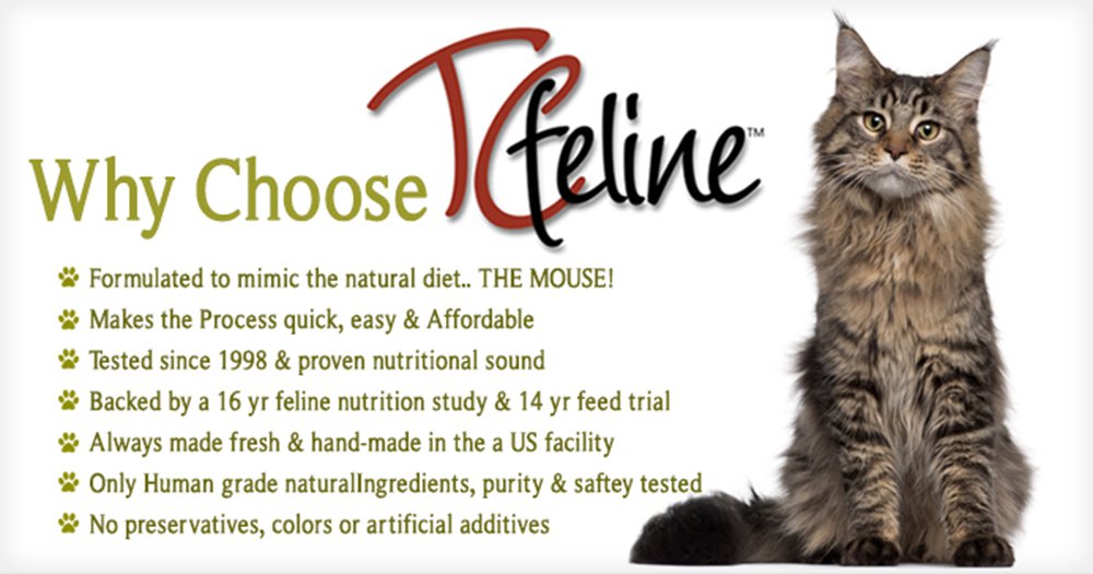 TCfeline RAW Cat Food Premix/Supplement to Make a Homemade, All Natural, Grain Free, Holistic Diet – Original Version with No Liver Egg Free Formula (Regular 14 oz)