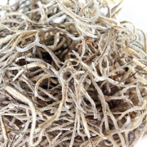 SuperMoss (26926) Spanish Moss Dried, Natural, 3 Pounds