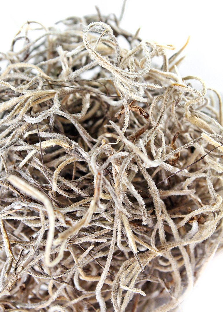 SuperMoss (26926) Spanish Moss Dried, Natural, 3 Pounds