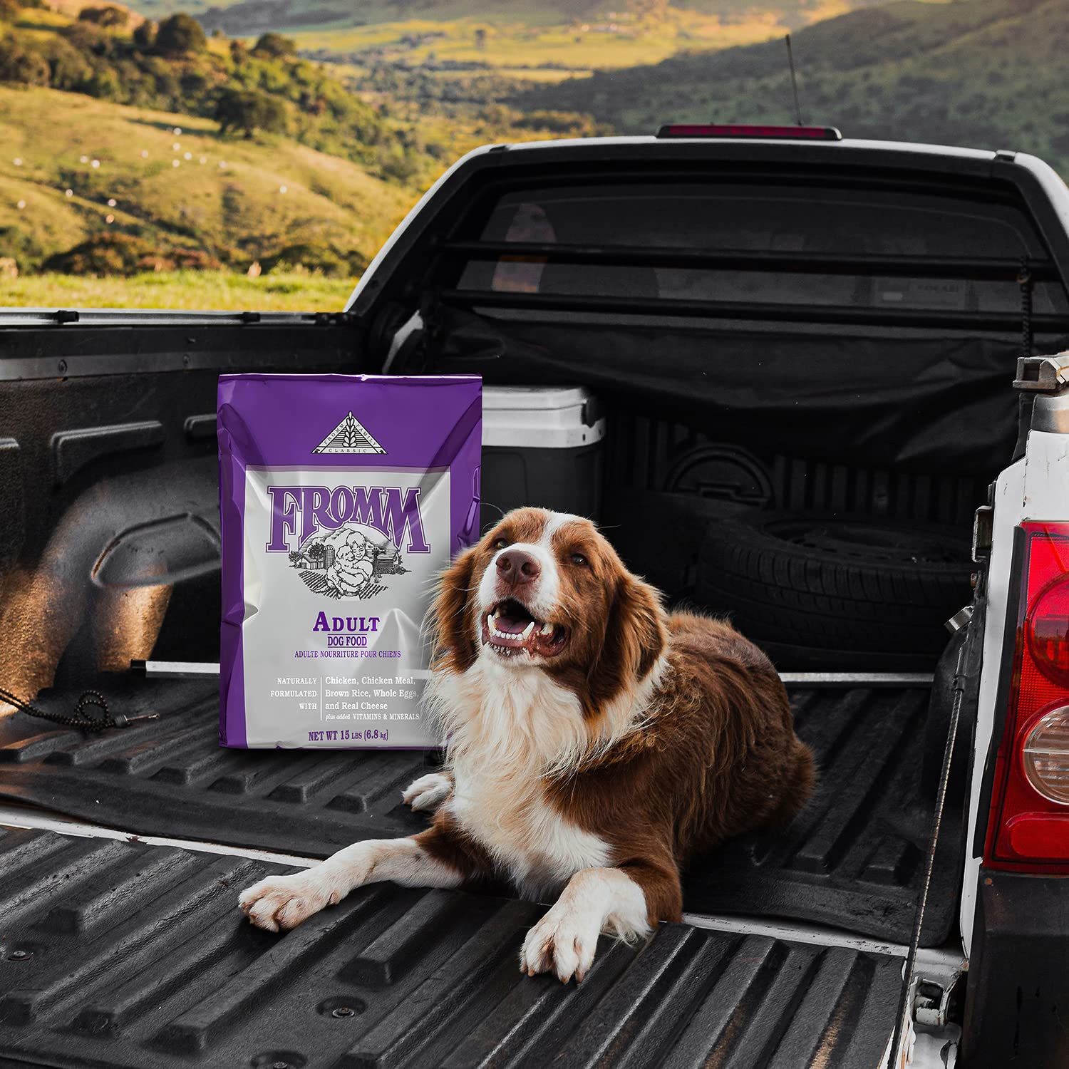 Fromm Classic Adult Dog Food - Premium Dry Dog Food for Large, Medium, & Small Breeds - Chicken Recipe - 15 lb