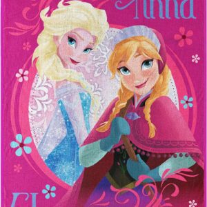 Northwest Frozen Micro Raschel Throw Blanket, 46" x 60", Loving Sisters