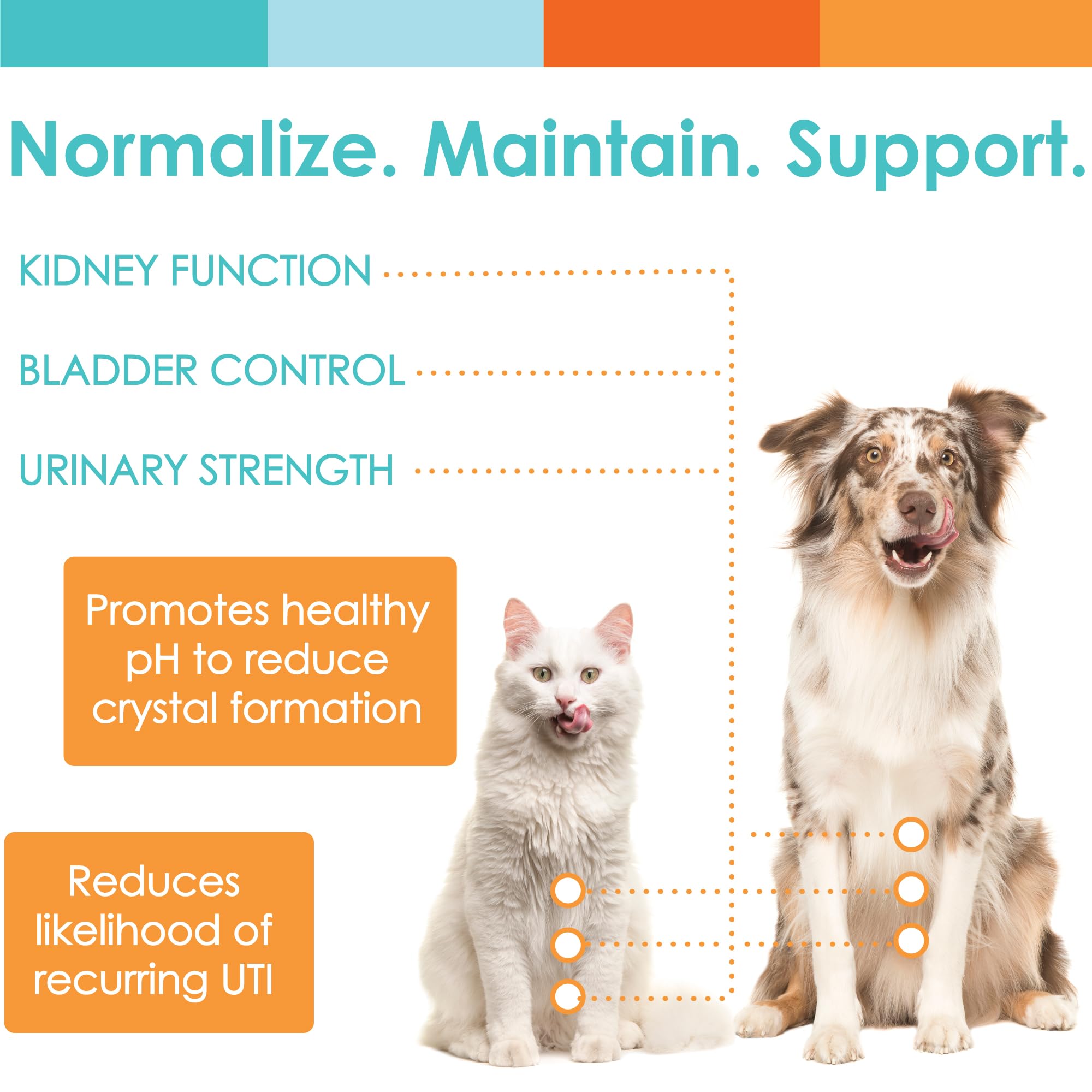 UTRIN - Urinary Support for Cats & Dogs - Dual-Action Cranberry & D-Mannose - for Natural Bladder Health, Incontinence, and Recurring UTI, 60 Servings