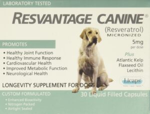 resvantage canine