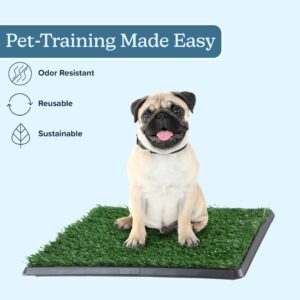 Artificial Grass Puppy Pee Pad for Dogs and Small Pets - 16x20 Reusable 3-Layer Training Potty Pad with Tray - Dog Housebreaking Supplies by PETMAKER