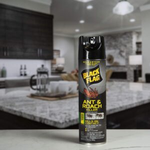 Black Flag Ant & Roach Killer Aerosol, Spring Fresh Scent, 17.5-Ounce, 12-Pack