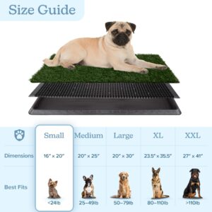 Artificial Grass Puppy Pee Pad for Dogs and Small Pets - 16x20 Reusable 3-Layer Training Potty Pad with Tray - Dog Housebreaking Supplies by PETMAKER