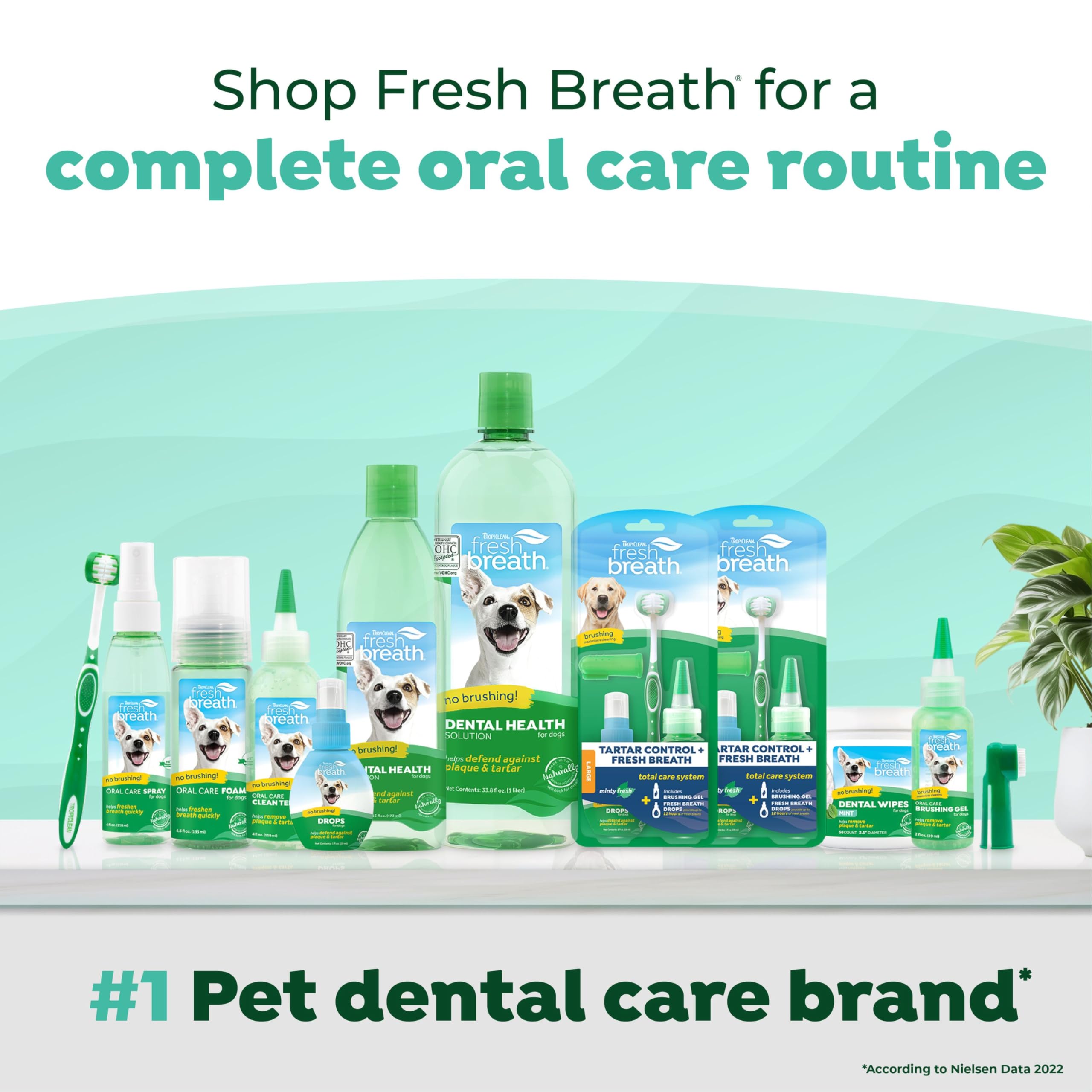 TropiClean Fresh Breath Plus Prebiotics for Digestive Support | Dog Breath Water Additive | Dental Care | Dog Breath Freshener | Simple Pet Teeth Cleaning | Made in USA | 16 oz