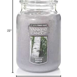 Yankee Candle Silver Birch Scented, Classic 22oz Large Jar Single Wick Aromatherapy Candle, Over 110 Hours of Burn Time, Apothecary Jar Fall Candle, Autumn Candle Scented for Home