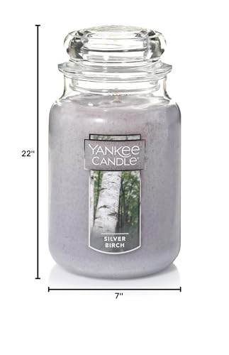 Yankee Candle Silver Birch Scented, Classic 22oz Large Jar Single Wick Aromatherapy Candle, Over 110 Hours of Burn Time, Apothecary Jar Fall Candle, Autumn Candle Scented for Home