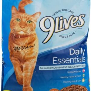 Nutrish 9Lives Daily Essentials Dry Cat Food, 20 Pound Bag