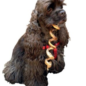 HDP Dental Jumbo Curly Bully Sticks Light 7"-9" USA Odor Free Size:Pack of 25